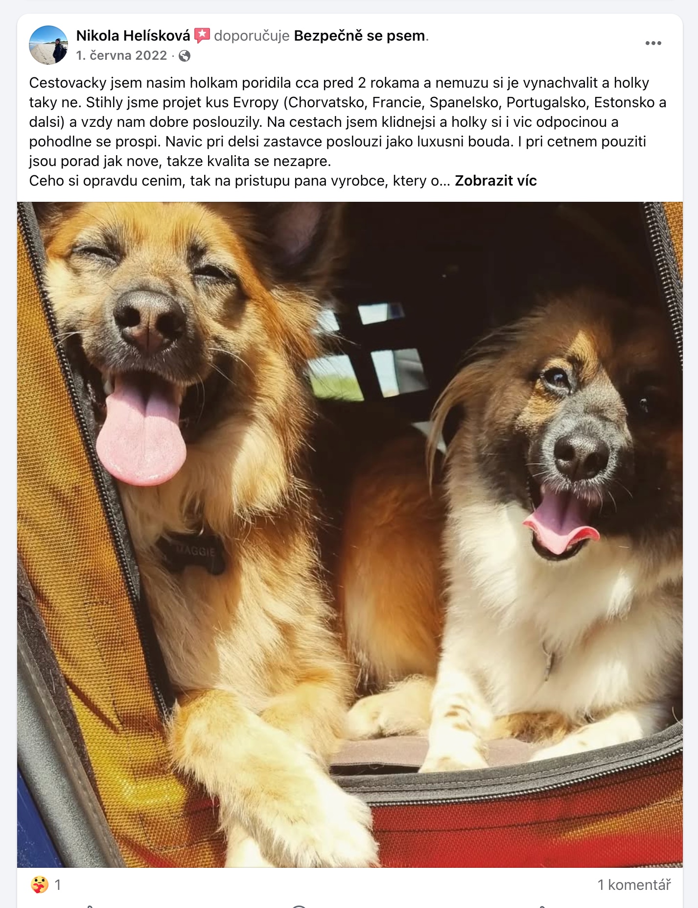 Recenze na Facebooku: dva psi projeli s CestoVáčky kus Evropy, po letech jsou boxy jako nové