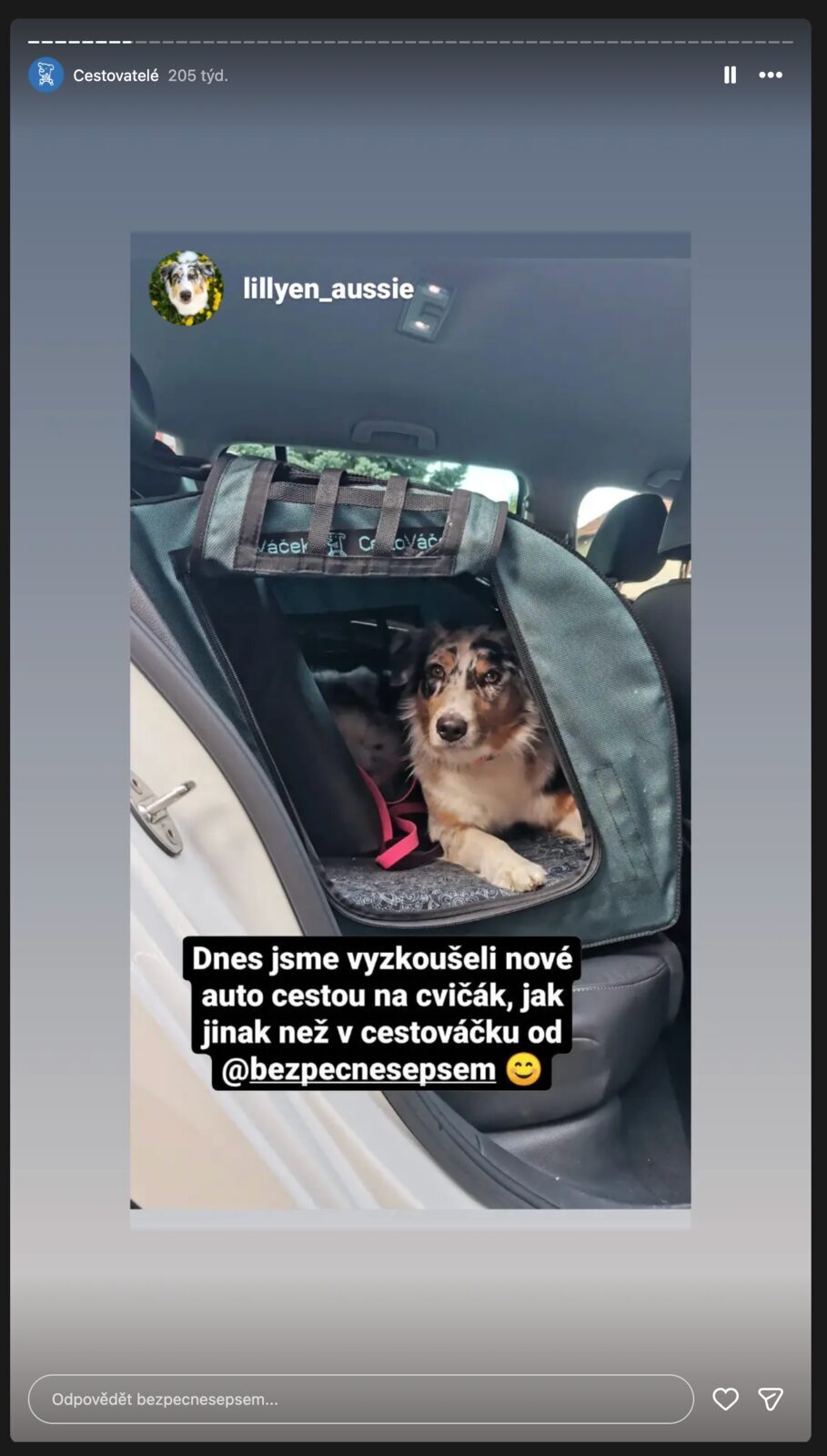 Instagram: nové auto cestou na cvičák, pes v CestoVáčku